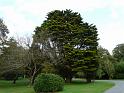 Johnstown Castle - 050
